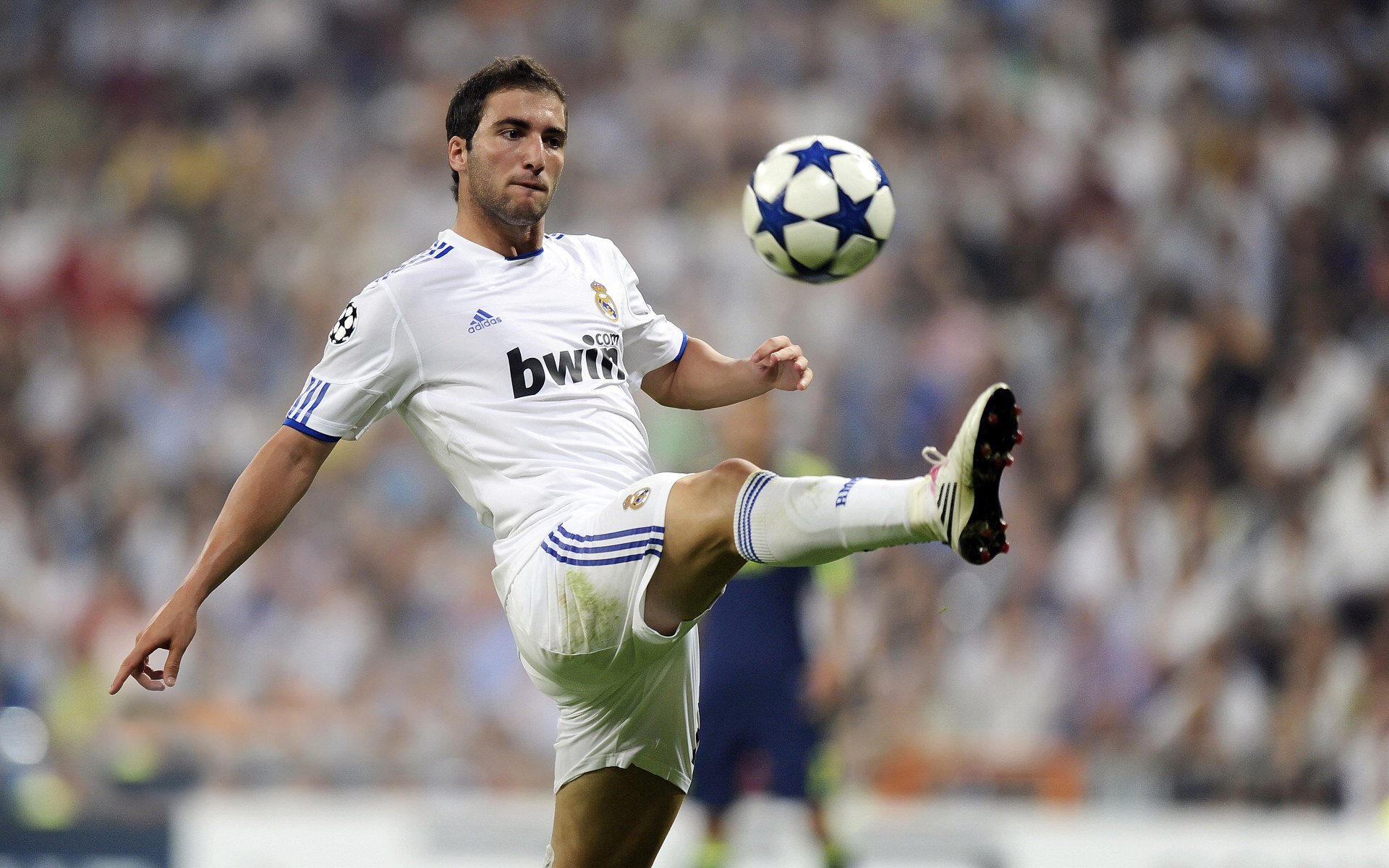 _掘金核心稳定发挥，士气高涨_，掘金龙头核心价值